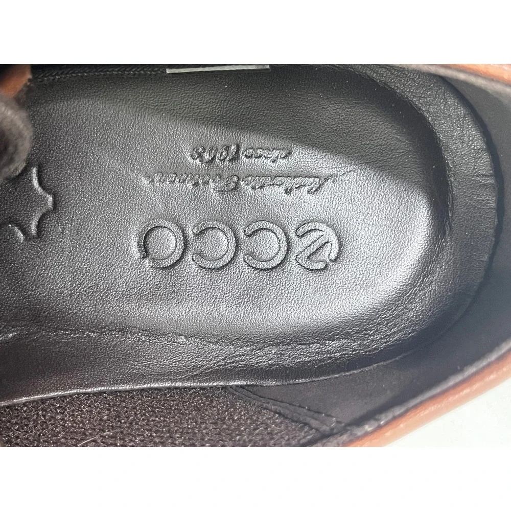 Ecco elevate your
